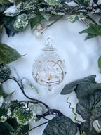 Snow Drop