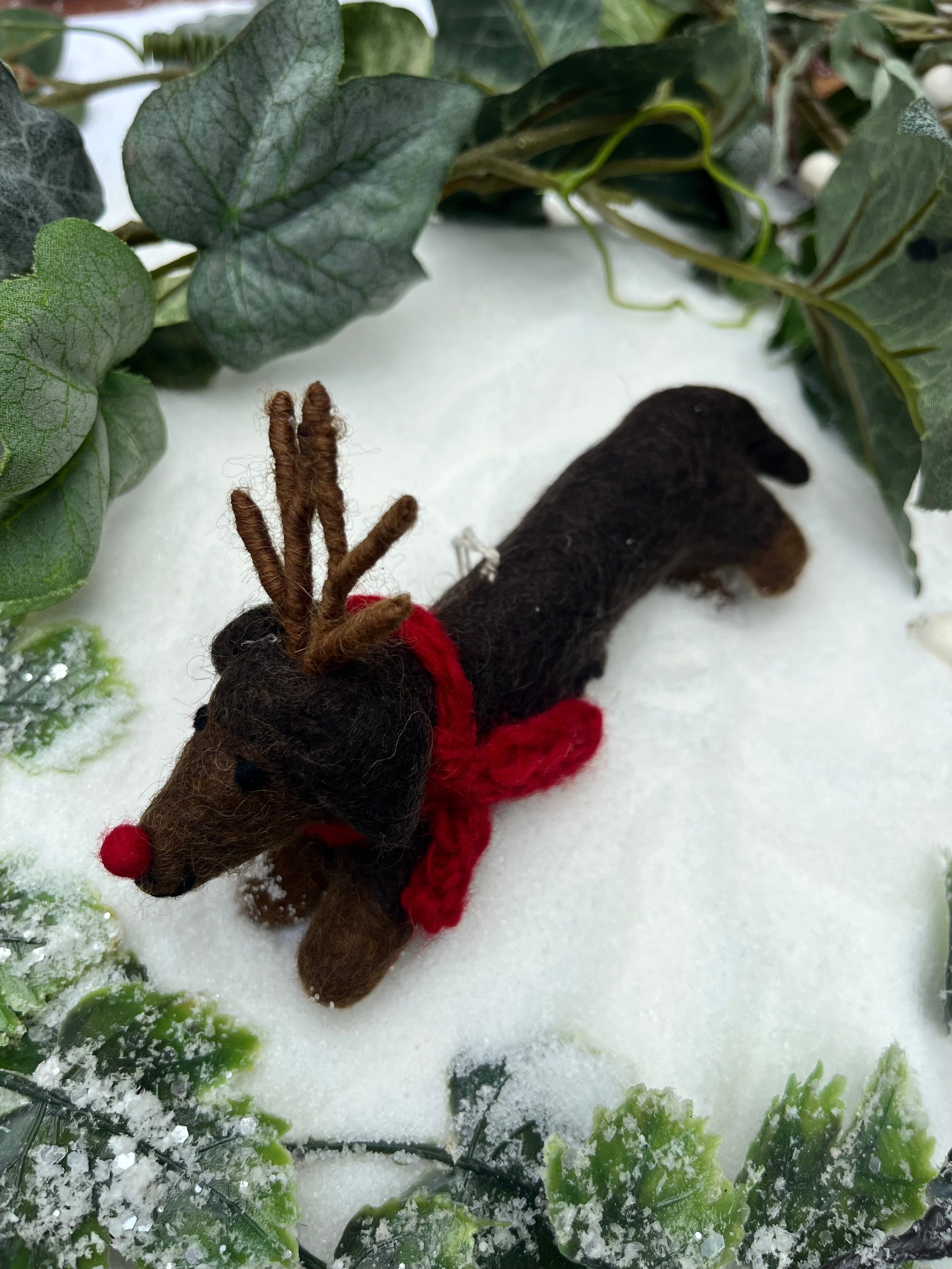 Sausage Dog with Antlers