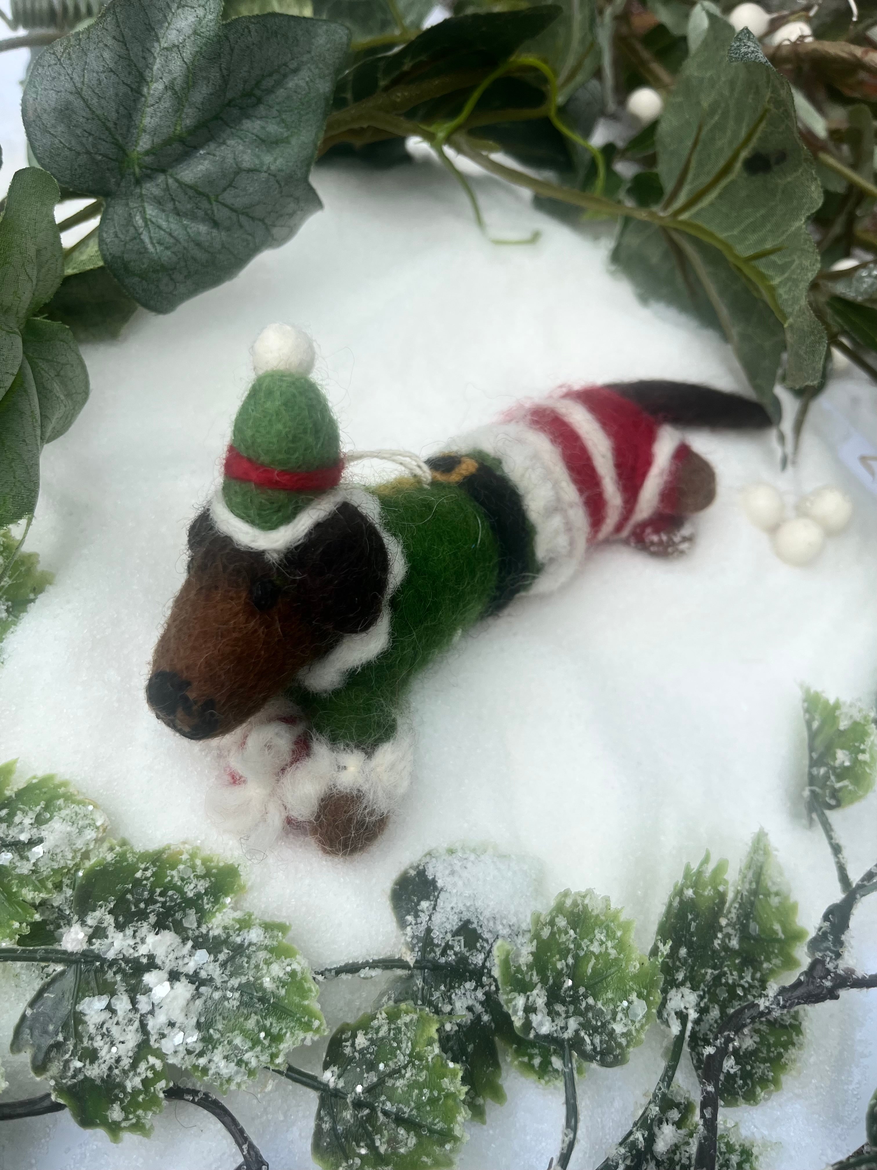 Sausage Dog in Elf Costume