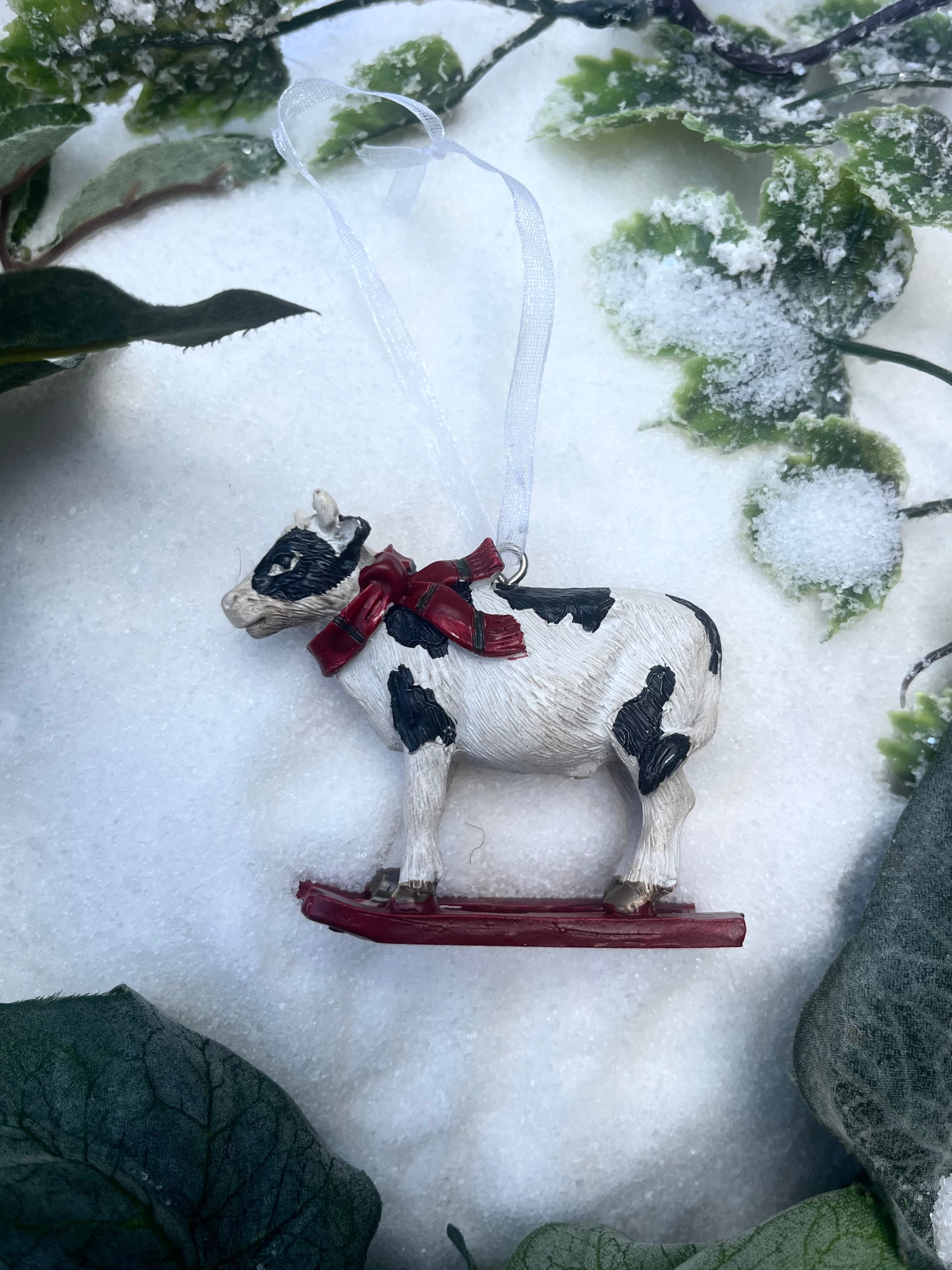 Cow on Skis
