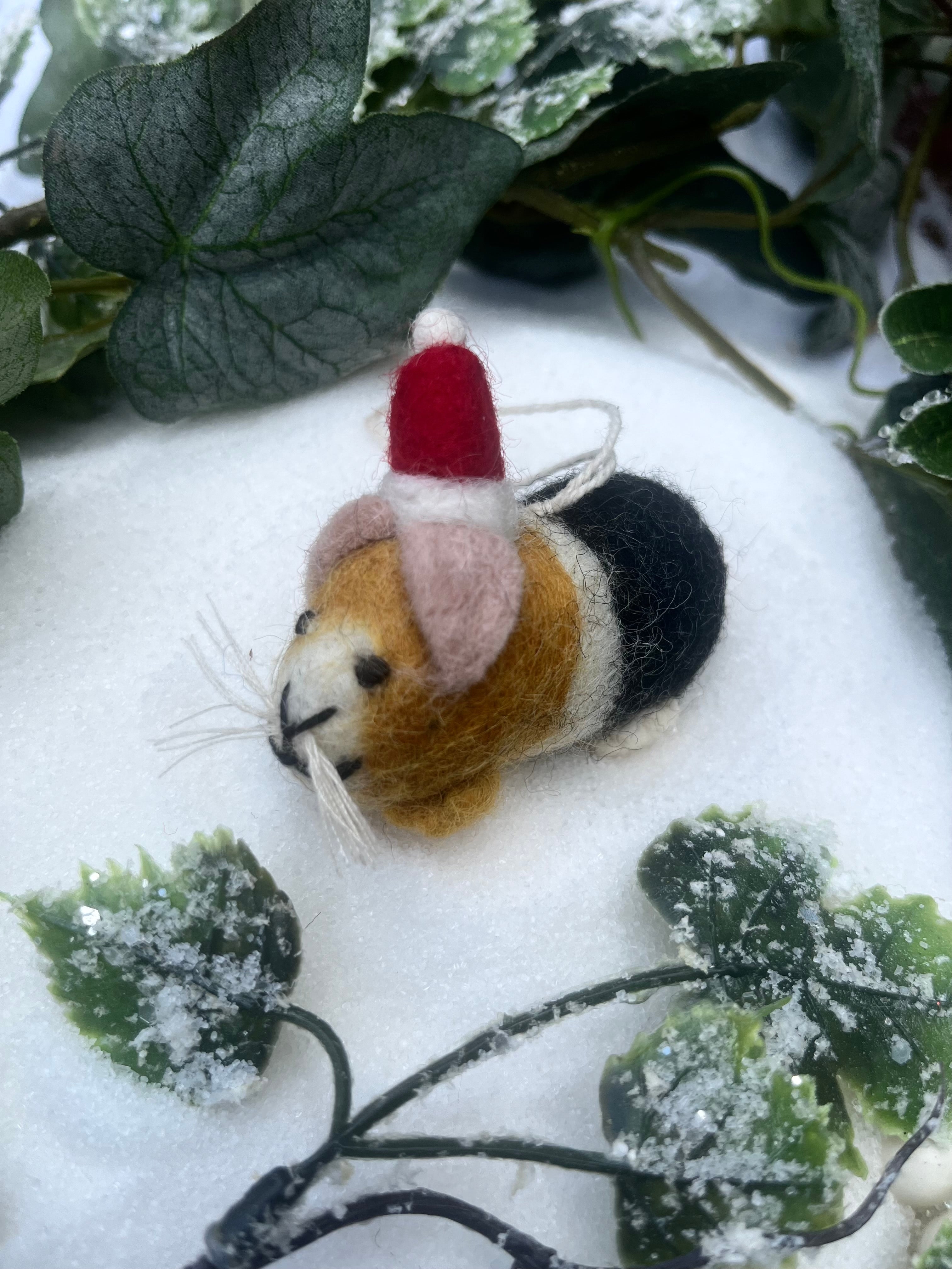 Guinea Pig with Hat