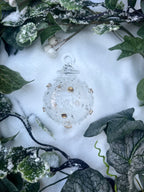 Winter Lace