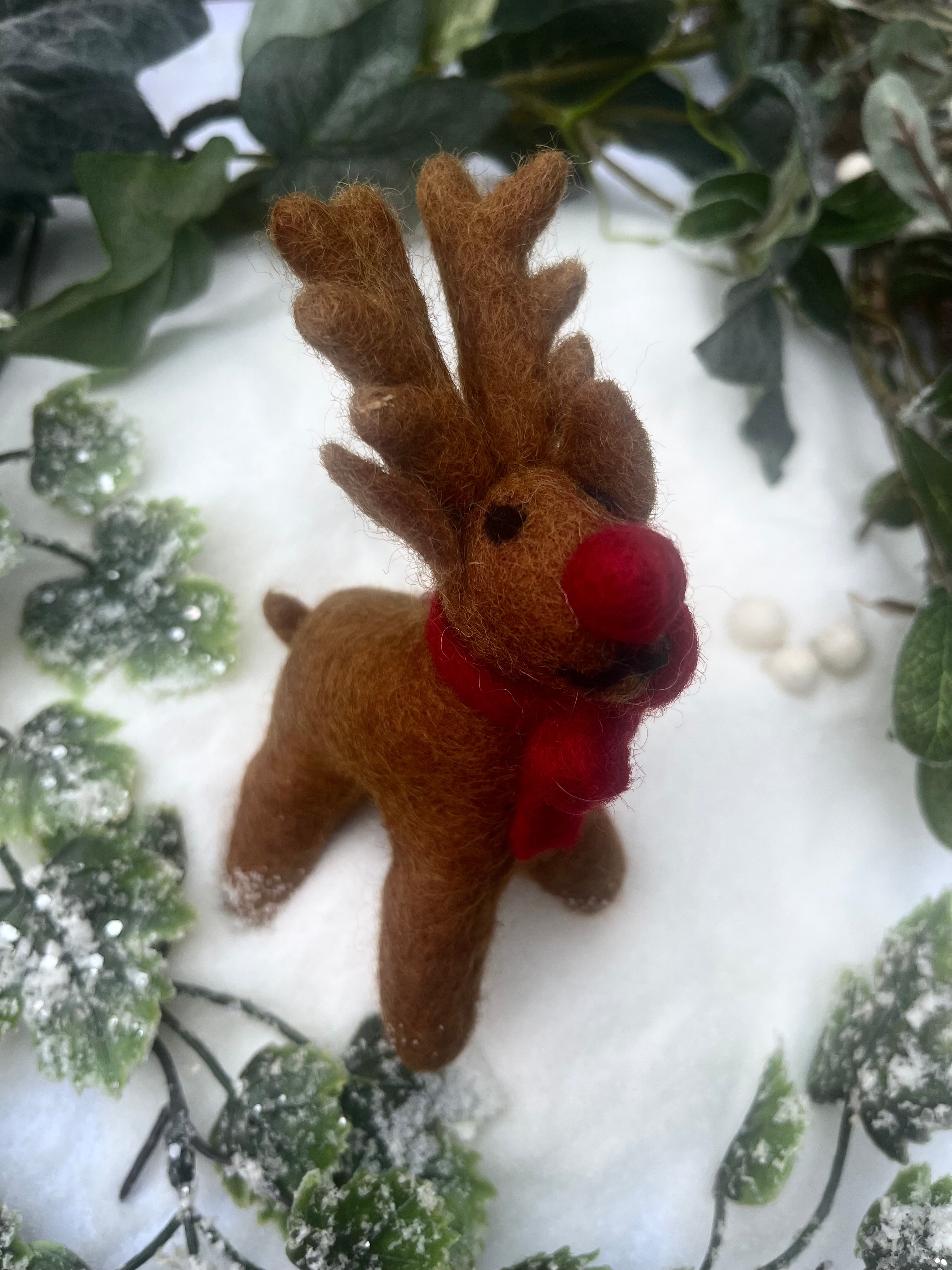 Reindeer