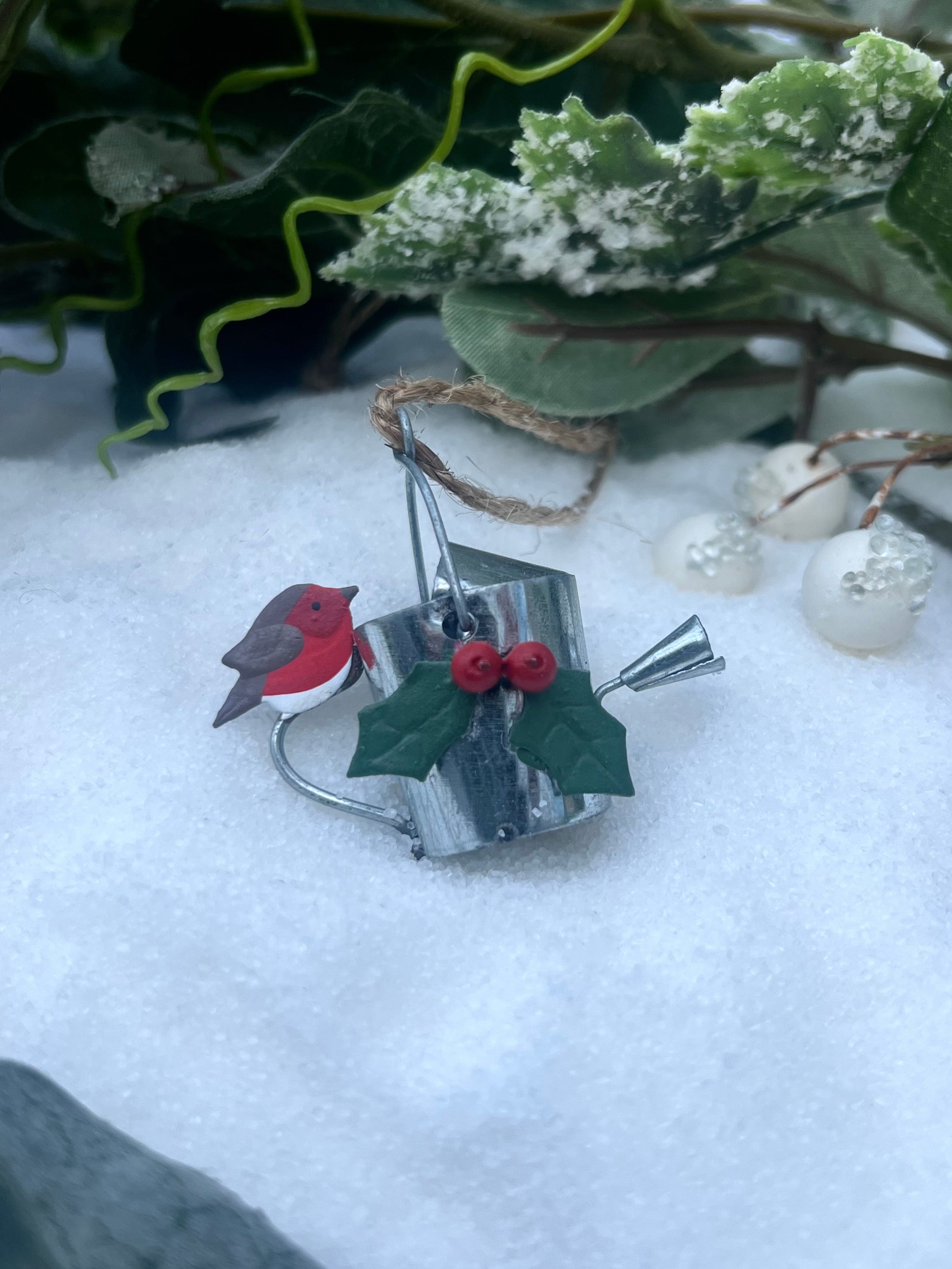 Robin on Watering Can