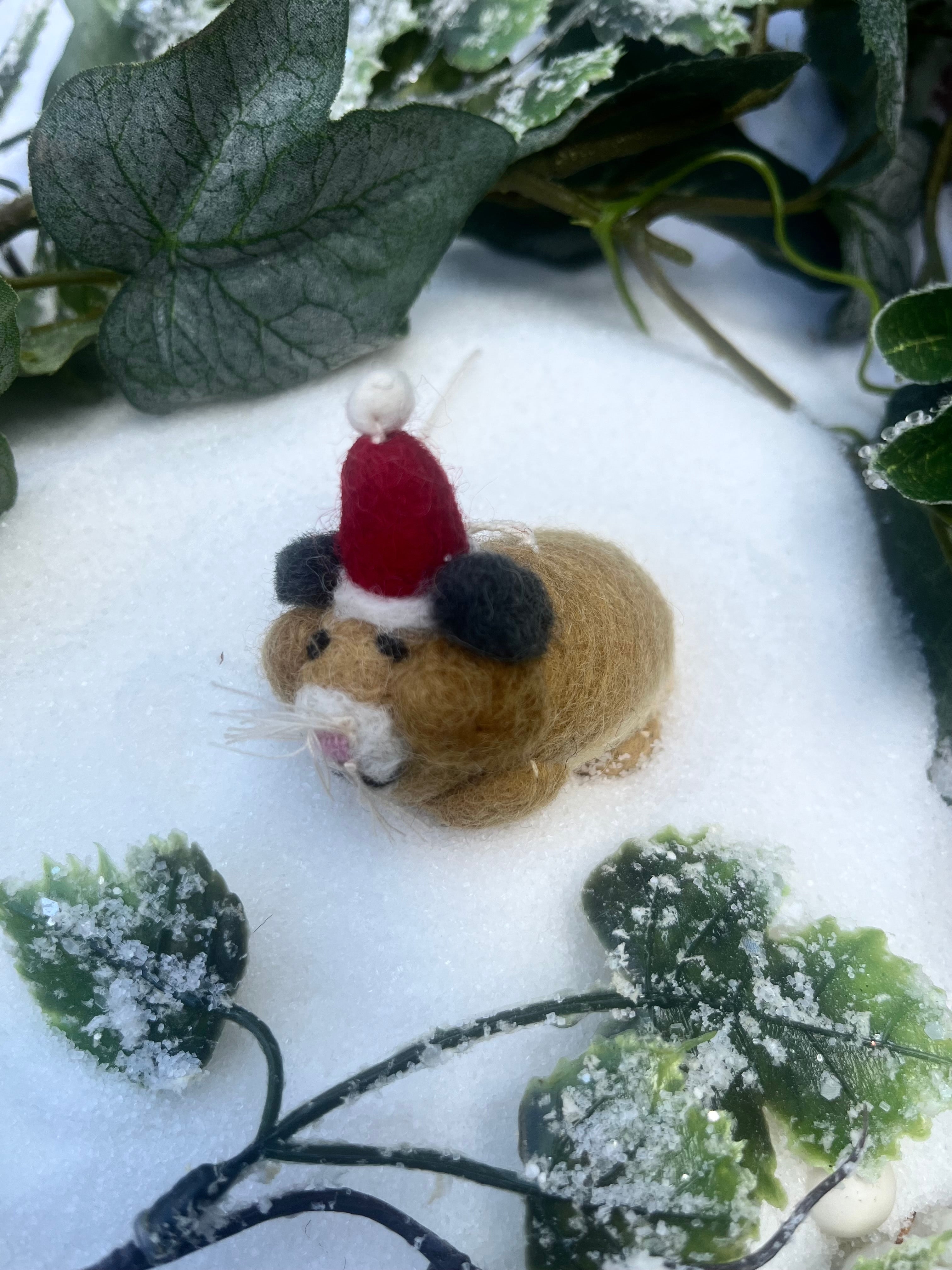 Hamster with Hat