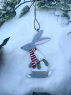 Hare in Jumper